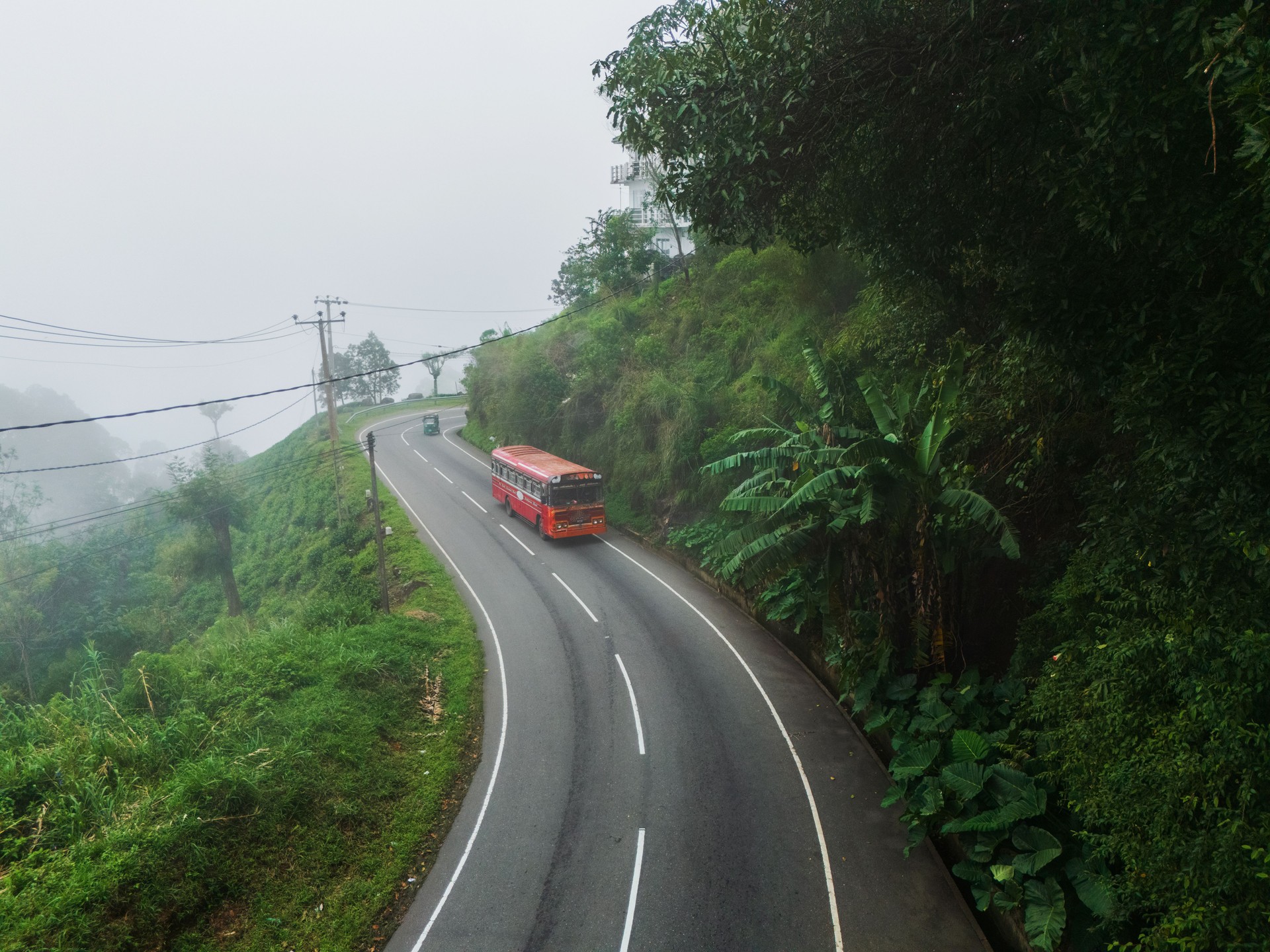Aerial view of red bus on the road through tea plantations on Sri Lanka