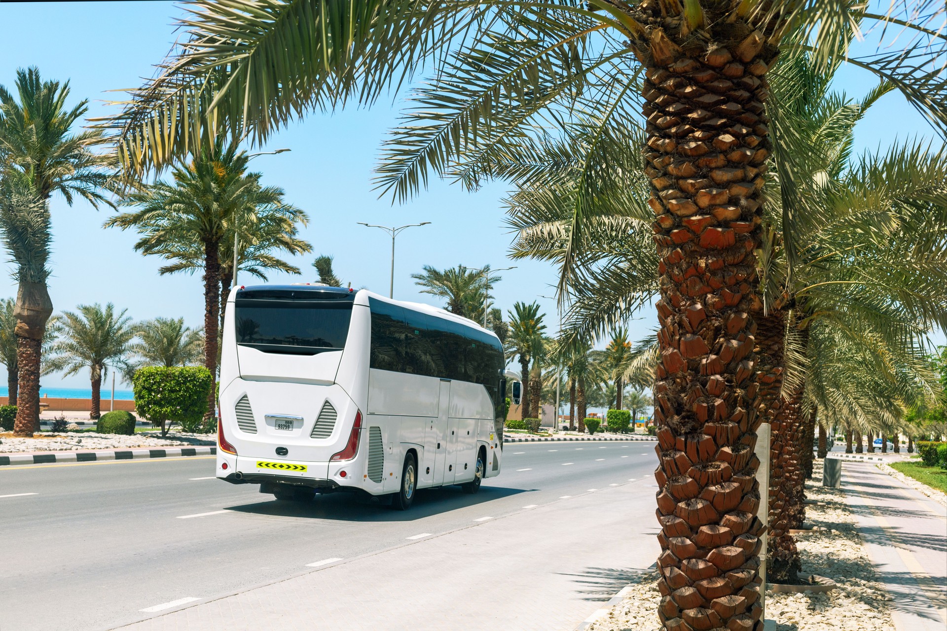 Tourist bus travelling on the road along sea,  palm trees, sunny day.